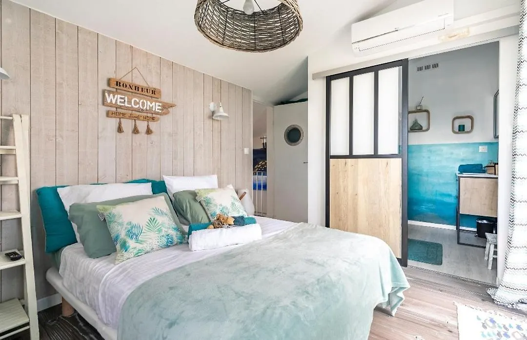 Maison De Vacances A L'Ayguade Classee 3 Etoiles, Climatisee,3Mn A Pied Plage Et Restos ,5Mn Aeroport, 10Mn Gare Hyeres Holiday home